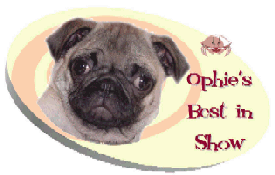 Ophie's Best In Show Award!