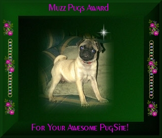 Muzz Pugs Award