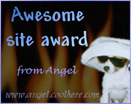 Awesome site award