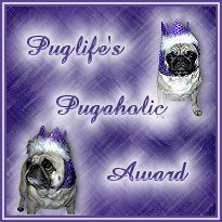 Puglife's Pugaholic Award