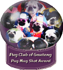 RSA Pug Club Award