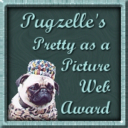 Pugzelle's Award