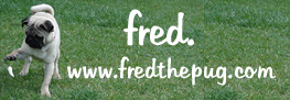Fred the Pug