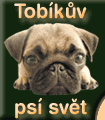 TOBKV PS SVT